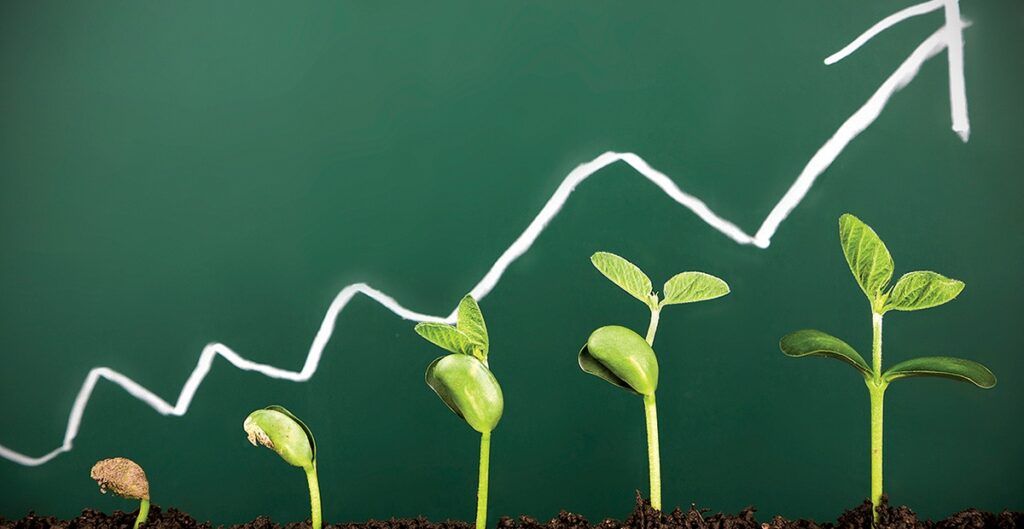 Overcoming Digital Marketing Challenges: A Guide for Small Businesses