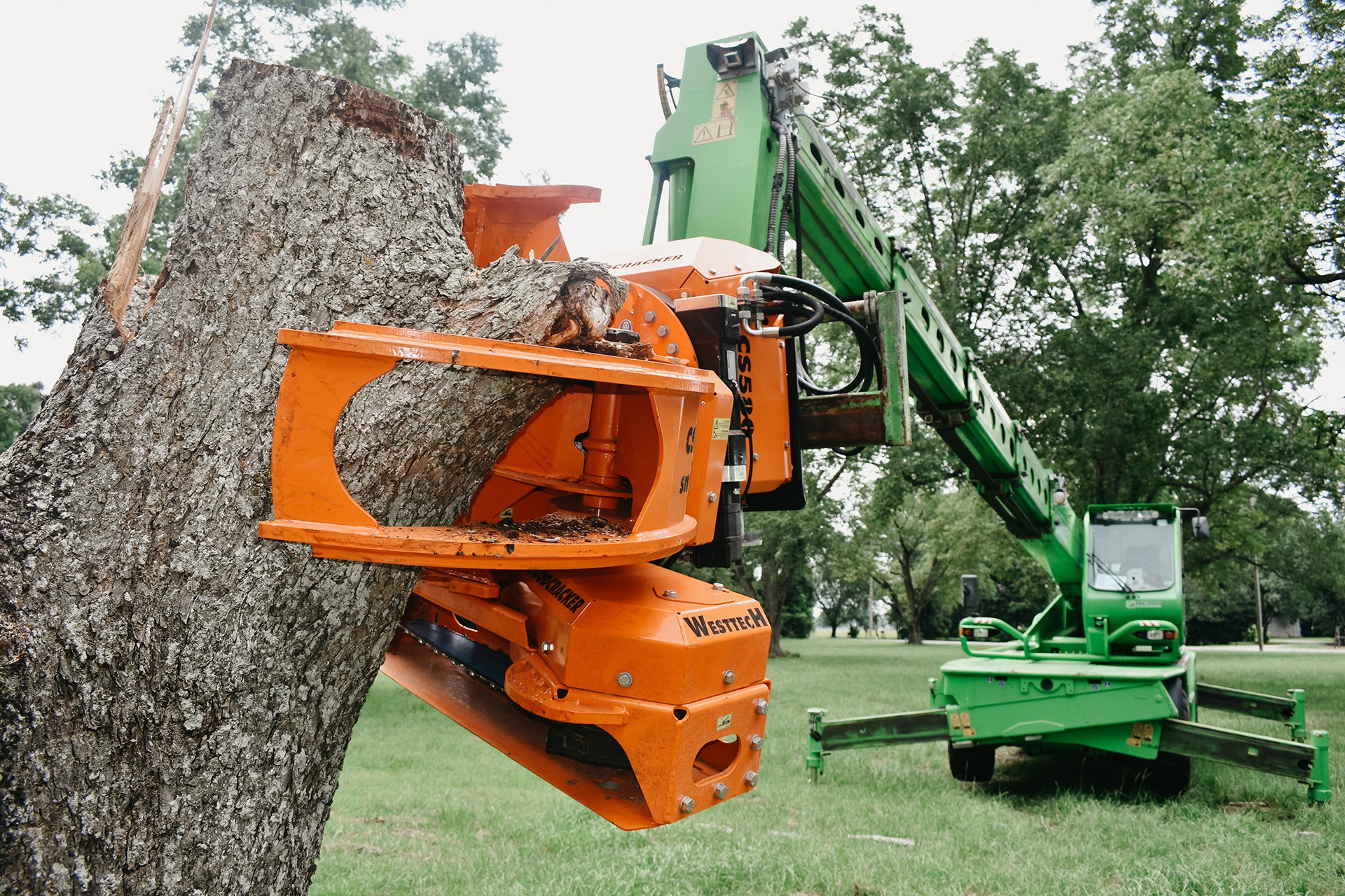 Care Your Trees As Well — And Every Branch Will Be Correct